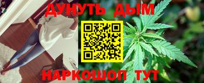 крисы Коммунар