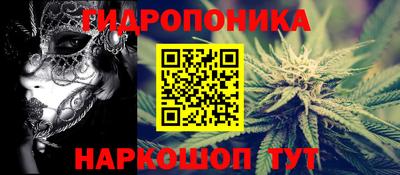 крисы Коммунар