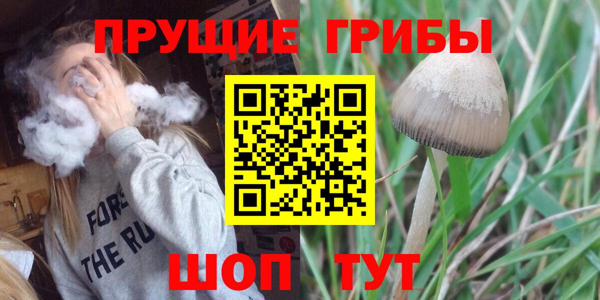 Галлюциногенные грибы мицелий  Галлюциногенные грибы Psilocybine cubensis  Керчь  Вход с VPN 