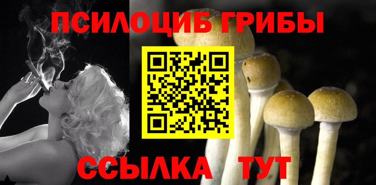 Псилоцибиновые грибы мухоморы Керчь